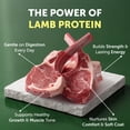 thumbnail image 2 of Nature's Protection Superior Care Dry Dog Food, Adult Small White Coat Dogs, Lamb & Rice, 3.3lb, 2 of 9