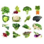 Winter Vegetable Seeds Variety Pack, 6500  Seeds, 16 Heirloom Seed Kit,  Arugula, Beet, Broccoli, Cabbage, Cauliflower, Carrot, Celery, Chard, Kale, Leek, Lettuce, Radish, Scallion, Spinach.