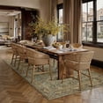 thumbnail image 4 of BERTHMEER 5'x7' Area Rugs for Living Room Kitchen Bedroom Rugs Non Slip Washable Vintage Brown Carpets Oriental Distressed Office Dorm Dining Room Traditional Distressed Throw Rugs, 4 of 8