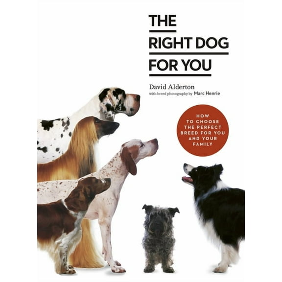 The Right Dog for You : How to choose the perfect breed for you and your family (Paperback)