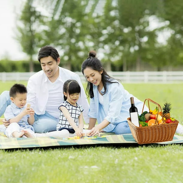 Picnic Basket Storage Sun Organizer Cart Food Containers With Double  35x25x15cm - Walmart.ca