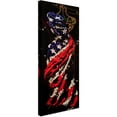 thumbnail image 2 of Trademark Fine Art "American Dress Drizzle" Canvas Art by Roderick Stevens, 2 of 3