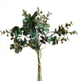 thumbnail image 2 of Ludlz 1Pc Artificial Silk Eucalyptus Money Leaf Green Garden Plant Foliage Home Decor, 2 of 6