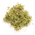 thumbnail image 5 of Certified Organic Alfalfa Sprouting Seed- 8 Oz - Handy Pantry Brand - High Sprout Germination- Edible Seeds, Gardening, Hydroponics, Growing Salad Sprouts, Planting, Food Storage & More, 5 of 8