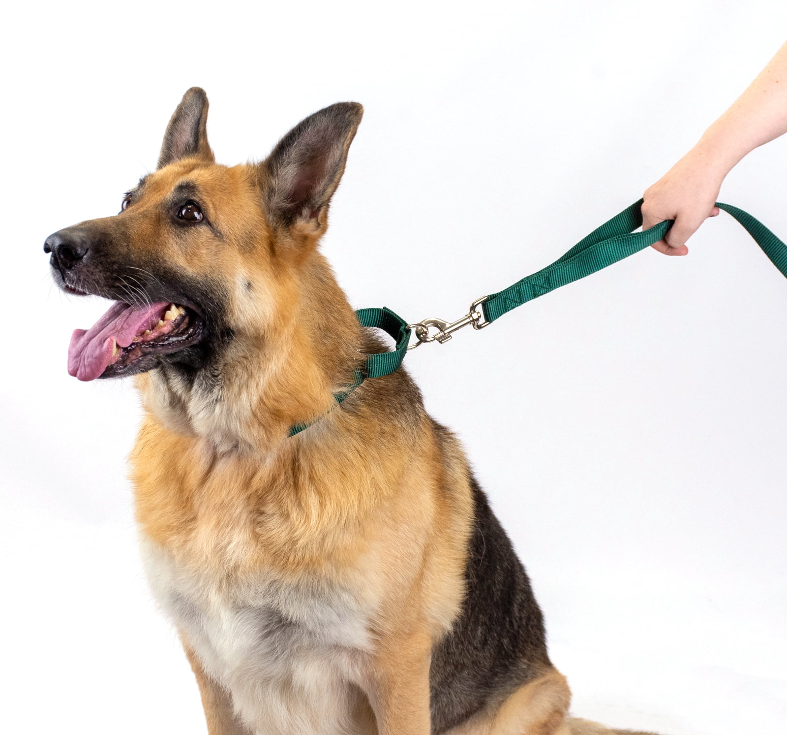 Country Brook Petz® Martingale Nylon Dog Collar & Double Handle Leash - Green - Small