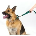 thumbnail image 3 of Country Brook Petz® Martingale Nylon Dog Collar & Double Handle Leash - Green - Extra Large, 3 of 7