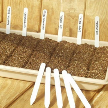 Labels 5 Plastic