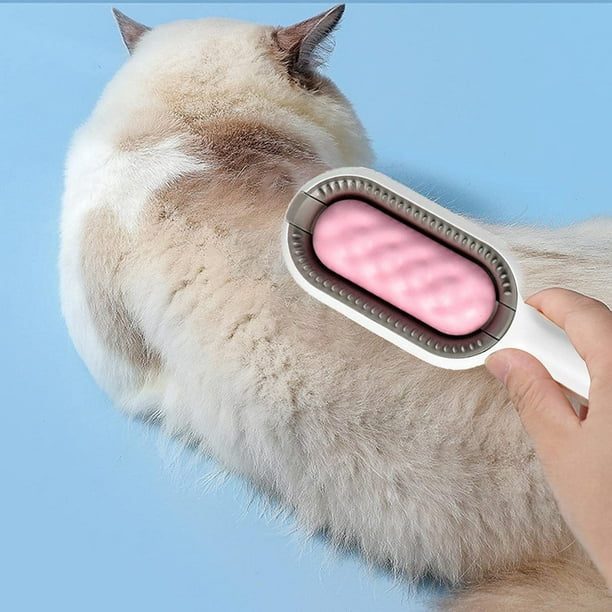 Brosse anti-poil avec support pour chat