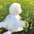 thumbnail image 3 of Strawberry Dog Dress Pet Clothing Suspender Skirt Dog Costume Princess Dress Small Dog Thin Summer Dog Skirt Yorkshire ShopWise Round, 3 of 7