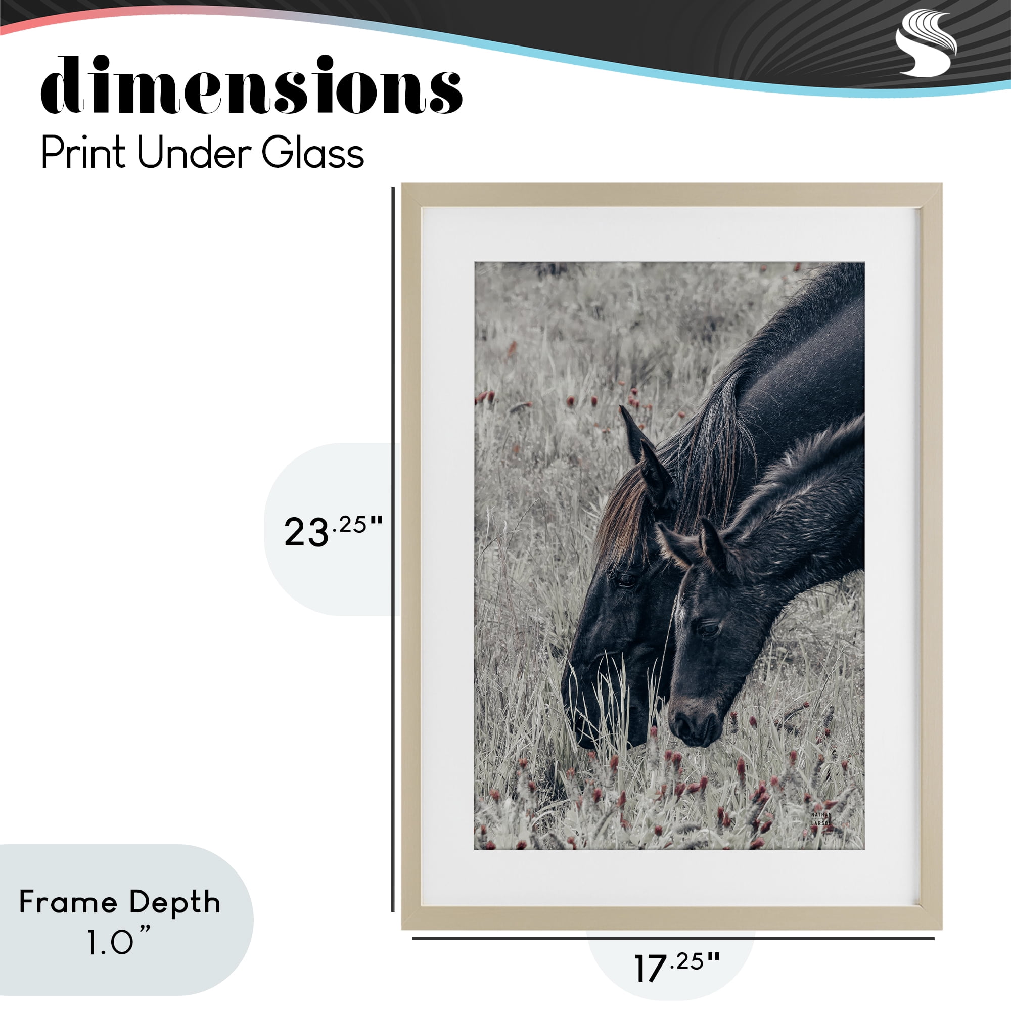Stupell Industries New Graze Horses in Meadow Birch Framed Print Under Glass, design by Nathan Larson
