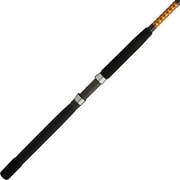 Ugly Stik Bigwater Conventional Rod, 7 Medium Heavy Fishing Rod