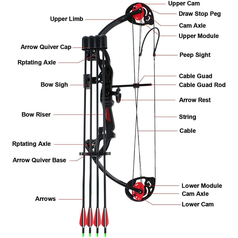 Cocobaby Teens Compound Right Hand Bow Kit W/30"Archery Arrow Target Hunting Set 15-29lbs