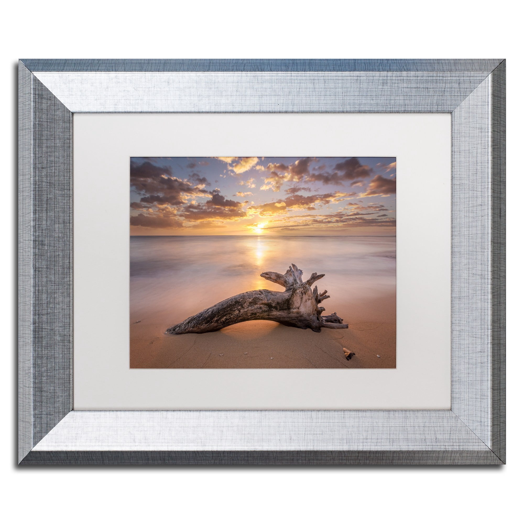 Trademark Fine Art 'Beach Tree Sunrise' Canvas Art by Pierre Leclerc, White Matte, Silver Frame
