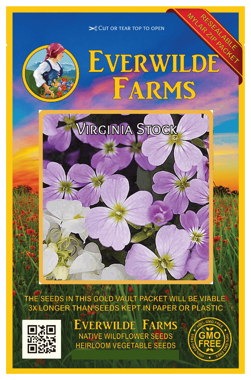 Everwilde Farms 2000 Virginia Stock Garden Flower Seeds Gold Vault