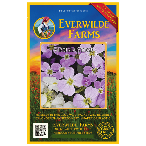 Everwilde Farms 2000 Virginia Stock Garden Flower Seeds Gold Vault