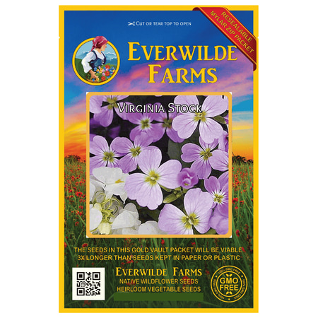 Everwilde Farms - 2000 Virginia Stock Garden Flower Seeds - Gold Vault Jumbo Bulk Seed