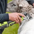 thumbnail image 4 of Electric Scissors Wool Clipper Electric Shearing Machine High-power Shaving Wool Clipper Shearing Shears ,Easy to Use, 4 of 7