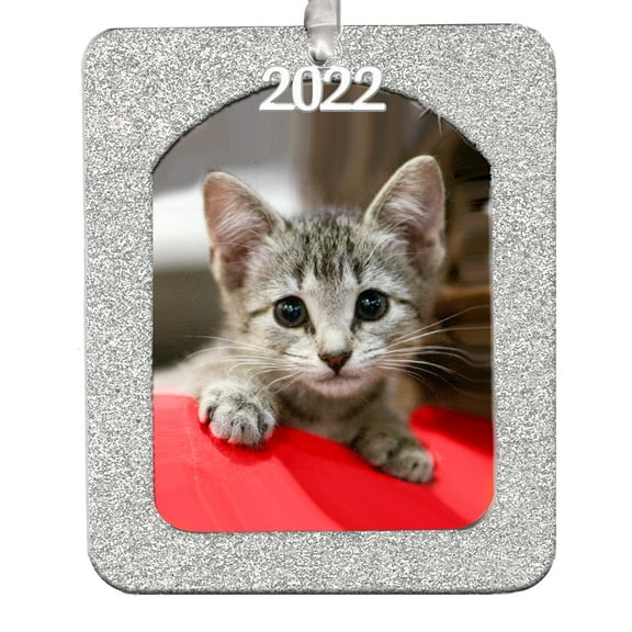 Expressly Yours! 2022 Picture Frame Christmas Ornament with Magnetic Glitter and Non-Glare Photo Protector, Vertical Silver