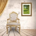 thumbnail image 3 of Frank, Assaf 13x18 Gold Ornate Wood Framed with Double Matting Museum Art Print Titled - Greenest Pastures I, 3 of 4