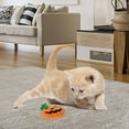 thumbnail image 4 of Interactive Toy Halloween Pumpkin Cat Teething Toys with Unique Expressions Embroidery for Kitties and Cats, 4 of 4