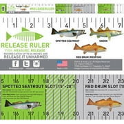 Release Ruler Florida Inshore Slam