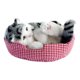 thumbnail image 2 of Pet de mascota interactiva de peluche Cat de mascota de mascota linda oficina realista versátil Gato gris, 2 of 8