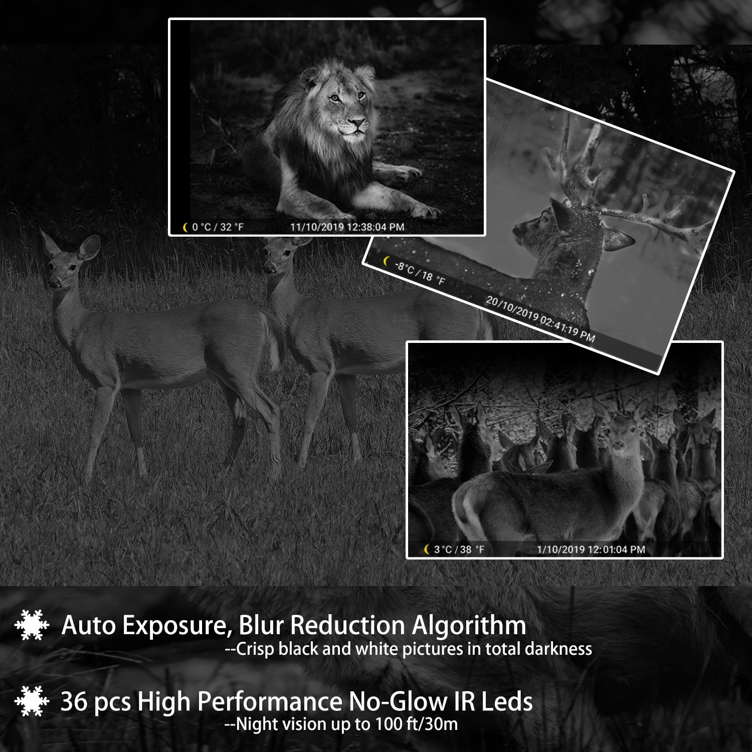 agitato trail camera