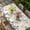 Off-White, variant on Vintage Colorful Butterfly Table Cloths for 4 Foot Rectangle Tables, Watercolor Butterflies Rustic Patio Waterproof Elastic Fitted Tablecloths, Washable Rectangular Table Cover for Camping