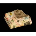 thumbnail image 3 of Camp Casual Picnic Blanket CC-005TM The Throw; 50 Inch x 60 Inch; Travel Map; Polyester; Machine Washable; With Plastic Carrier, 3 of 4