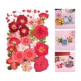 thumbnail image 3 of KLKCMS Fleurs Séchées Réelles pour Résine, Fleurs Séchées Naturelles Pressées, Fleurs en Résine en Vrac pour Bricolage, Moules en Résine, Kit de Fabrication de Bougies Rouge, 3 of 9