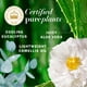 thumbnail image 3 of Herbal Essences Champú sin sulfato de eucalipto Balance del cuero cabelludo 13.5 onzas líquidas con aceite de camelia certificado y aloe vera para todo tipo de cabello, especialmente el cuero cabellud, 3 of 5