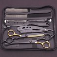 thumbnail image 1 of Professional Haircutting Scissor Set, Black & Gold, 1 of 6
