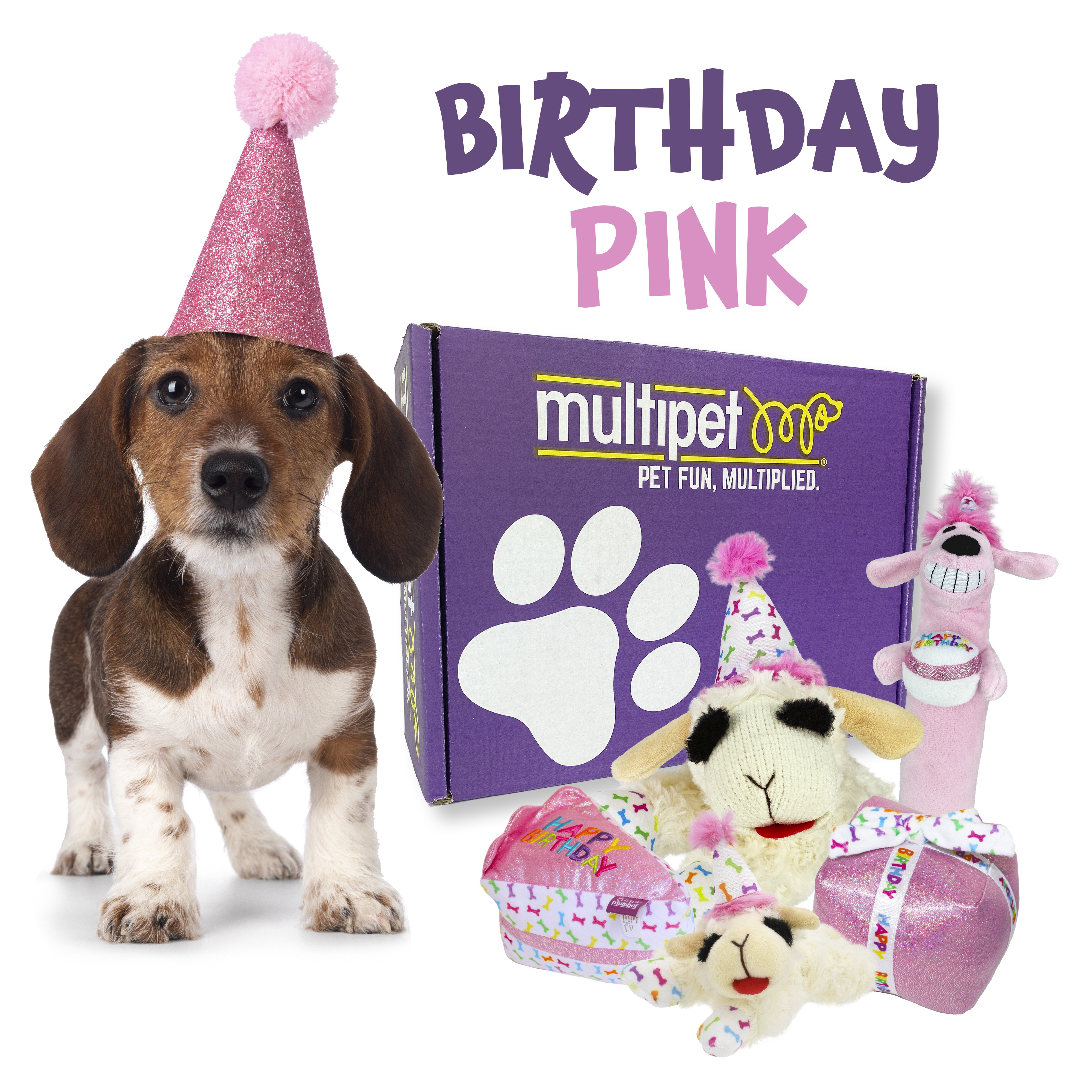 Multipet Pink Birthday Dog Toy Gift Box includes 5 Plush Birthday Dog Toys