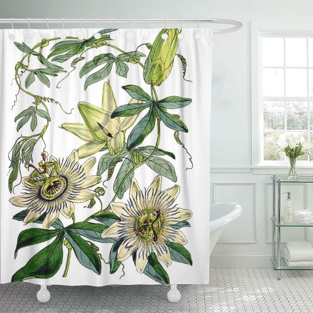 botanical shower curtain