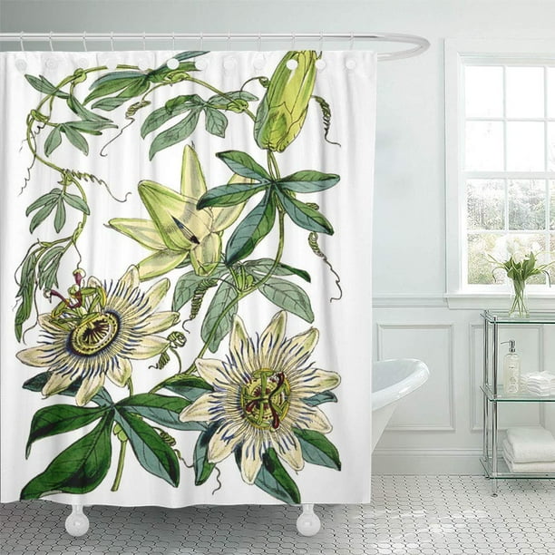 Suttom Vintage Botanical Shower Curtain 60x72 Inch Walmart Com Walmart Com