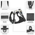 thumbnail image 6 of Lsque Farm Roosters Dog Harness, No-Pull Pet Harness with 2 Leash Clips, Adjustable Soft Padded Dog Vest with Easy Control Handle for Large Dogs-X-Large, 6 of 9
