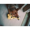 thumbnail image 4 of Toy Giraffe Medium, 4 of 5