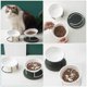 thumbnail image 3 of 1 Set Pets Disposable Feeding Bowls Wet Dry Pet Food Bowl Water Feeding Dish with Rack, 3 of 3