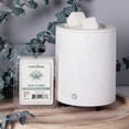 thumbnail image 5 of Carolina Candle Agave Citrus 2.46oz Wax Melt, Aromatherapy, 6 Cube, White, 5 of 5
