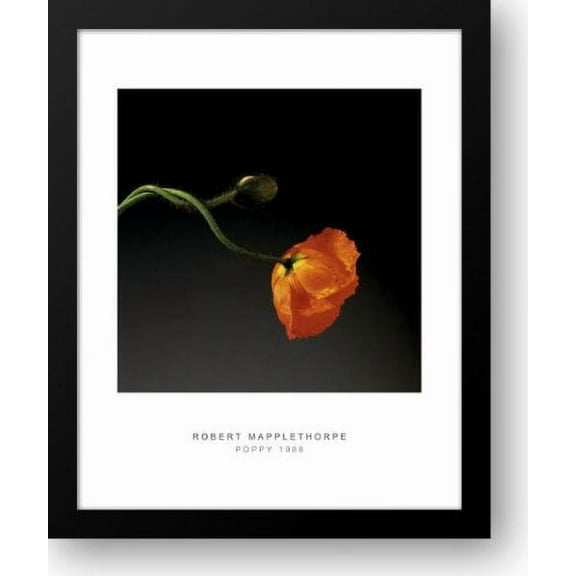 Poppy, 1988 20x24 Framed Art Print by Mapplethorpe, Robert