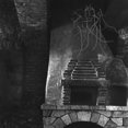thumbnail image 1 of Primeval, 1 of 1