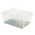 thumbnail image 1 of MERIGLARE Reptile Amphibian Habitat Terrarium Vivarium Breeding Box with Carpet, 1 of 9