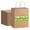 Original brown-1 count (Pack of 100), variant on Original brown 1 count (Pack of 100) Medium Paper Gift Bags with Handles