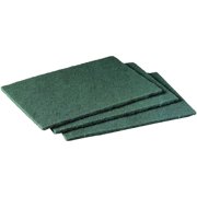 Scotch-Brite Extreme Scrub Scour Pad (2-Pack) 77222-R