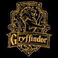 thumbnail image 2 of Men's Harry Potter Gryffindor Line Art Crest Pull Over Hoodie, 2 of 4