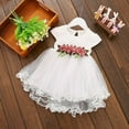 thumbnail image 1 of Bébé bébé Filles Floral Robe Princesse Fête Dentelle Tutu Robes, 1 of 6