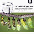 thumbnail image 2 of MasteelfCA and Habitat Cage Foldable Mesh Cage House Butterfly Habitat, Insect Mesh Cage, 2 of 8