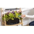 thumbnail image 2 of AeroGarden Bounty Basic Black with Gourmet Herb Seed Pod Kit, 2 of 9
