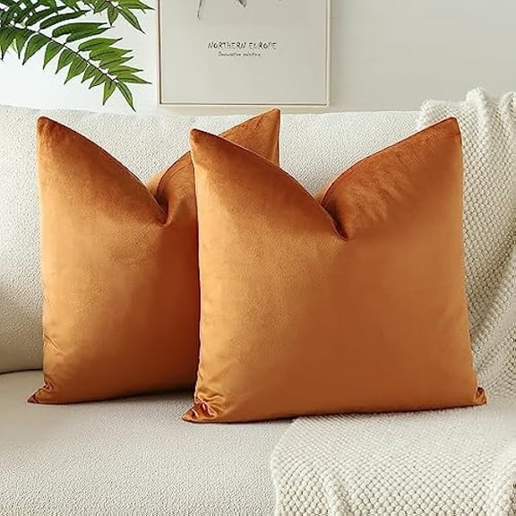 Eryueer Soft Velvet Decorative Throw Pillow Covers 22x22 Inch Solid Cushion Covers 55x55 cm Cushion Case Square Pillow Cases for Couch Sofa Living Room Bedroom Home Decor Set of 2 (Orange)