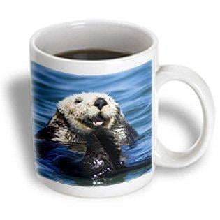 3dRose California Sea Otter, Moss Landing, California - US05 JGS0198 - Jim Goldstein, Ceramic Mug, 15-ounce